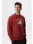 Baskılı Yazılı Regular Fit Şardonlu Erkek Bisiklet Yaka Sweatshirt K28124602901 3