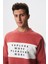 Erkek Regular Fit Yazılı Şardonlu 3 İplik Bisiklet Yaka Sweatshirt K28124602601 2