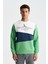 Erkek Regular Fit Çok Renkli Bisiklet Yaka Sweatshirt K28124602801 1