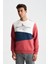 Erkek Regular Fit Çok Renkli Bisiklet Yaka Sweatshirt K28124602801 3
