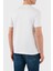 Pamuk Regular Fit Bisiklet Yaka Logo Baskılı T Shirt Erkek T Shirt 2441113 310 2