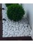Taş Tamburlanmış 2-4cm. Dolomit Dekoratif Taş Beyaz Park, Bahçe Peyzaj ve Saksı Diplerine Akvaryumda 5