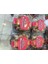 Sakızlı Kurabiye 400 gr 1 Adet 1