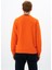 Erkek Regular Fit Bisiklet Yaka Sweatshirt K26124925301 8