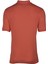 Erkek Polo Yaka Tişört Y21374273801 4