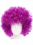 Koyu Mor Renk Violet Afro Bonus Saç Peruk 1
