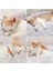 Köpek Ve Kediler İçin Yıkanabilir Yuvarlak Pet Yatak S-M-L 2