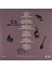 Nick Cave And The Bad Seeds - Lovely Creatures: The Best Of Nick Cave & The Bad Seeds - ( 3 Lp ) Plak 2