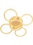 Eksen Gold 4+1 Kumandalı ve Dimerli (Beyaz, Sarı, Gün Işığı) Ledli Salon Mutfak Oda Oturma Odası Hol Ledli Plafonyer Avize SB-LD-507 3