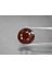 11.77 Ct 14.2x13 mm Oval Natural Medium Orange Spessartite Garnet, Namibia 1