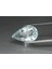 5.83 Ct 15.5x9.8 mm Pear Natural Greenish Blue Aquamarine Unheated Brazil 1