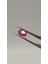 1.35 Ct 6.6x5.6 mm Oval Natural Unheated Ruby 1