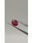 1.25 Ct 7.3x5.6mn Natural Unheated Ruby 1