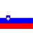 Slovenya Bayrağı (50x75 Cm) 1