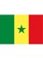 Senegal Gönder Bayrağı (100x150 Cm) 1