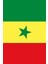 Senegal Gönder Bayrağı (70x105 Cm) 2