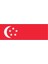 Singapur Gönder Bayrağı (100x150 Cm) 1