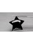 9.70 ct 17.5X17.5 mm Star Natural Black Spinel, Thailand 1