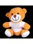Peluş Ayıcık 1