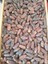 Toptan Jumbo Medine Mebrum Hurma 10 kg 3