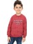 Erkek Çocuk Baskılı Sweatshirt 1