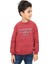 Erkek Çocuk Baskılı Sweatshirt 2