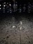 Üfleme Tombul Cam 2'li Vazo Tepsi Ayna Dahildir 3