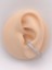 Cerrahi Çelik Piercing Zirkon Taşlı Anti Tragus Piercing (1ADET) 1