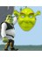 Yeşil Shrek Maskesi 21 x 25 cm 1