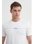 Erkek T-Shirt 2