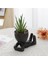 4 Adet Yapay Sukulent, Mini Saksı Seramik Sukulent Dekoru (Yurt Dışından) 5