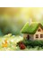 50 Adet Mini Orman Hayvanları Figürleri Reçine Küçük Hayvan Minyatürleri, D (Yurt Dışından) 2