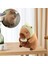 Yumuşak Kapibara Peluş Oyuncak Bebek Yastık, Doldurulmuş Kapibara Oyuncak, B (Yurt Dışından) 3