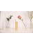 Numbuzin No.3 Super Glowing Essence Toner 200 ml 3