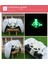 Mini Direksiyon Simidi Kulp Oyunu Joystick Yarış Oyunu H (Yurt Dışından) 3