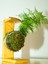 Asparagus Setaceus Kokedama, Tül Kuşkonmaz Kokedama 2