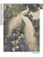 5d Elmas Taş Işleme Kiti 40X50 cm Beyaz Tavus Kuşları Desen 3