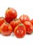 Armut Domatesi Italian Red Pear Domates Tohumu (15 Tohum) 1