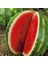 Geleneksel Tohum Yüksek Aromalı Crimson Sweet Karpuz Tohumu (20 Tohum) 1