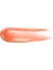 Prisma Glass Hydrating Lip Gloss 4