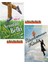Rüyalarımın Kitabı (Ciltli) / Kesinlikle Belki Olabilir Ama İmkansız (Ciltli) (2 Kitap) 1