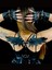 Body-Harness Body 1