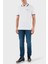 Pamuklu Regular Fit Düğmeli Polo Yaka T Shirt Erkek Polo Yaka T Shirt 50469055 106 3