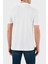 Streç Pamuklu Regular Fit Düğmeli Polo Yaka T Shirt Erkek Polo Yaka T Shirt MW0MW38125 Ybr 2