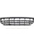 2E0807835A-2E0807835 Tampon Izgarası Orta Ön Vw Crafter 06-15 Ithal 1