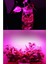 Kasalı Şeffaf Kapaklı Grow LED 12V 5630 Full Spectrum Bitki Yetiştirme Ledi 25-50-75-100CM 4