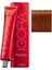 Igora Royal 0.88 1