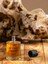 August Rush Edp Erkek Parfüm 100 ml 3