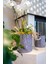Kulplu Yuvarlak Düzenleyici Çok Amaçlı Kolay Taşınabilen Organizer Keçe Sepet (Mini) 03662 ( Lisinya ) 3