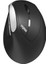 EV250 Kablosuz Ergonomik Fare, Siyah 1